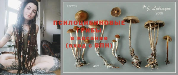 каннабис Алексеевка