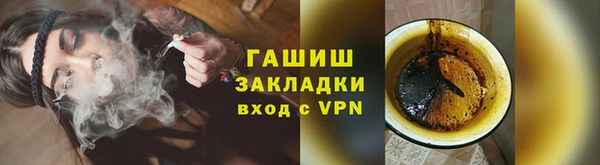 гашик Ладушкин