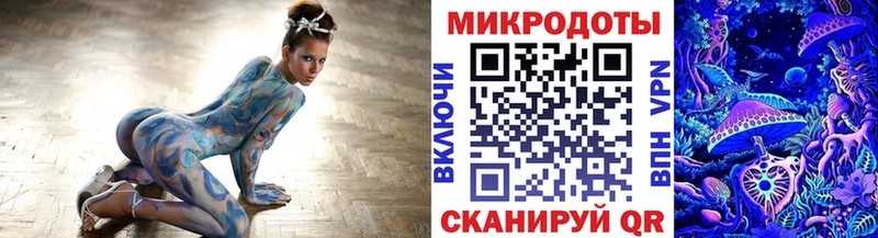 МЕГА ссылки Вологда Галлюциногенные грибы Psilocybine cubensis